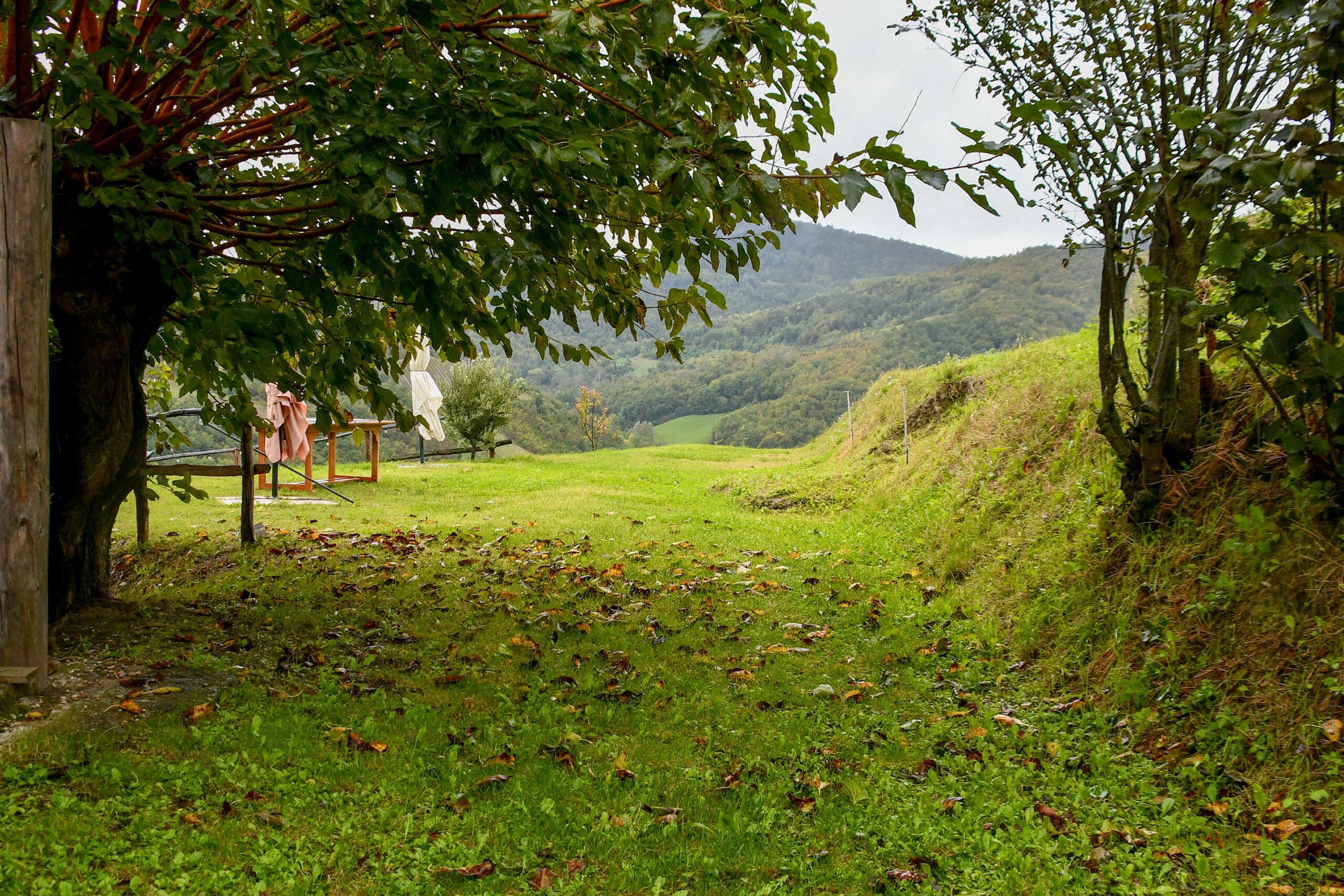 Esterni (32)