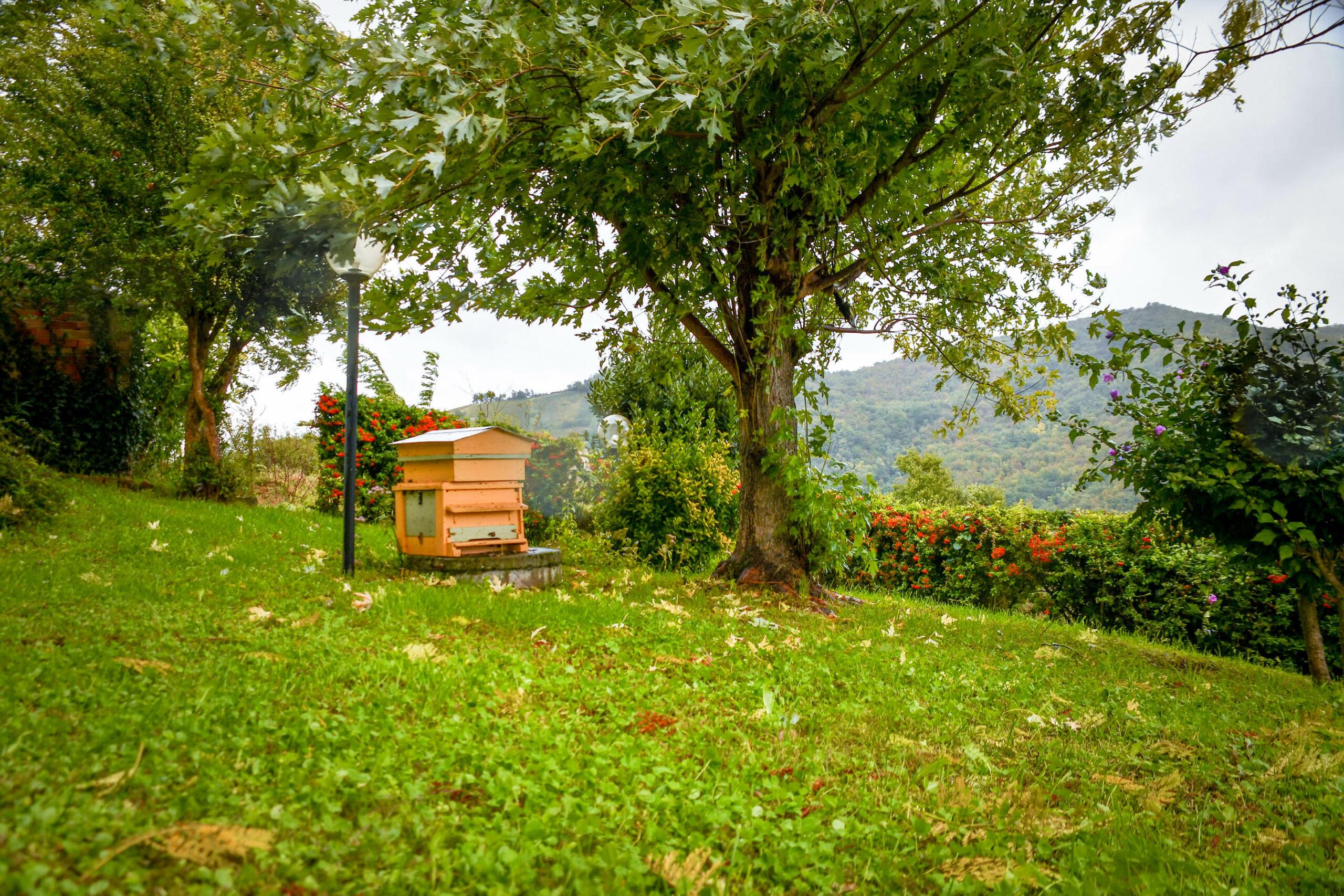 Esterni (71)
