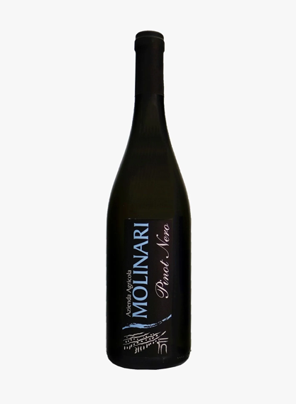 Pinot nero vinificato in bianco - Bianco