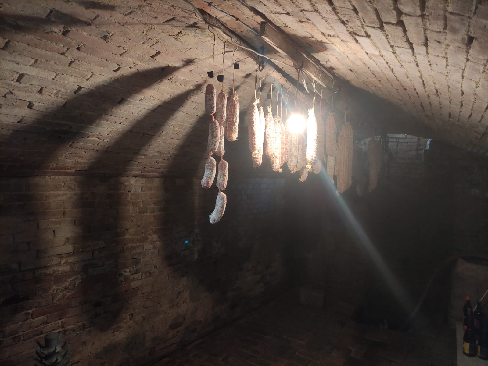 casa-ghia-esplora-la-cantina (10)