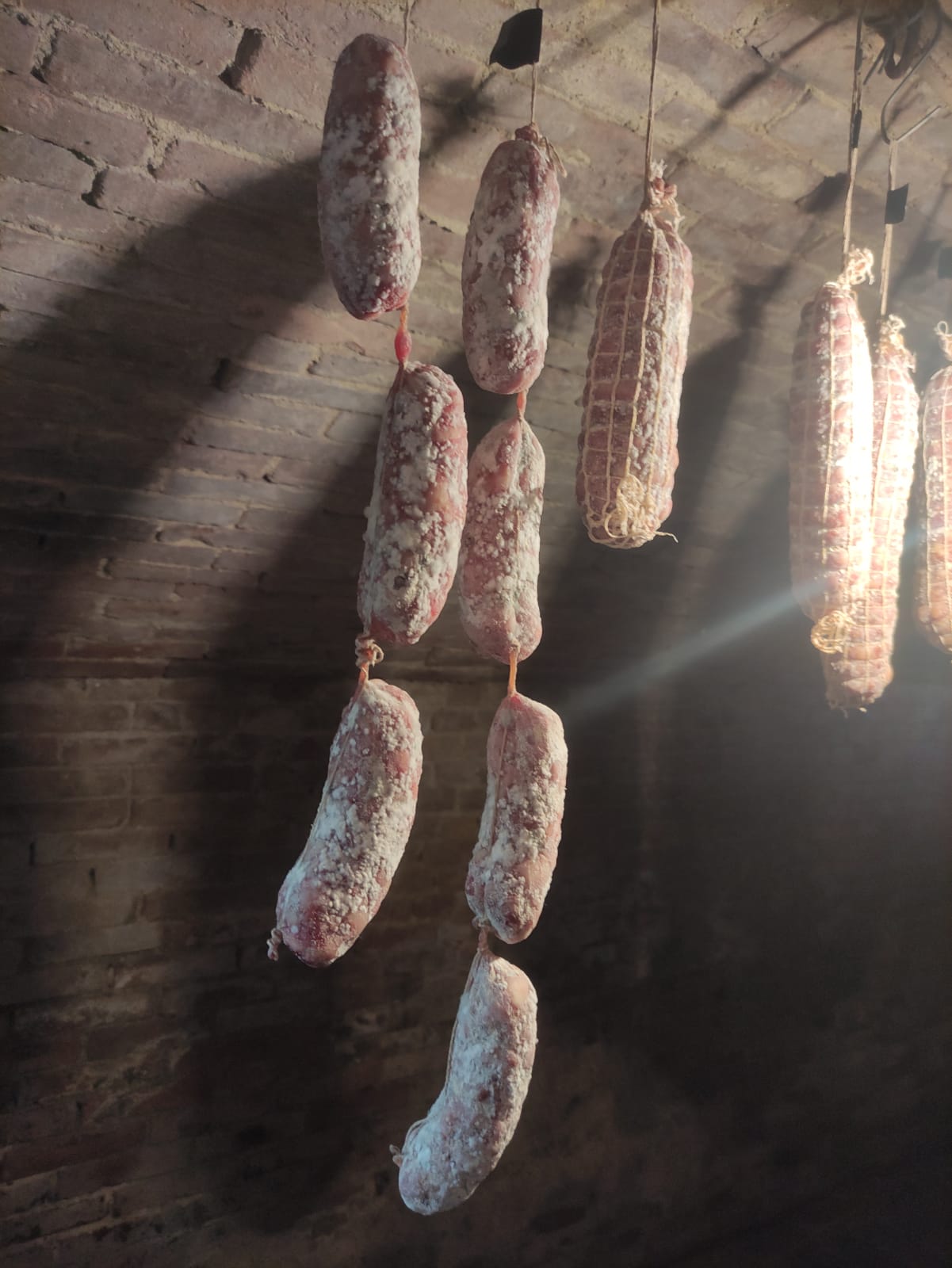 casa-ghia-esplora-la-cantina (11)