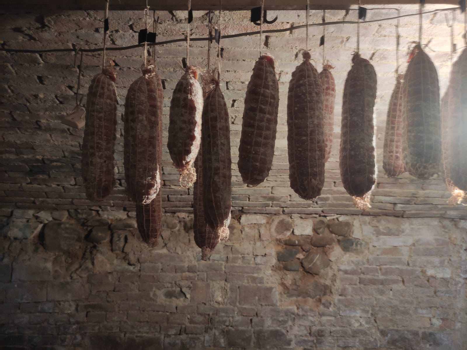 casa-ghia-esplora-la-cantina (2)