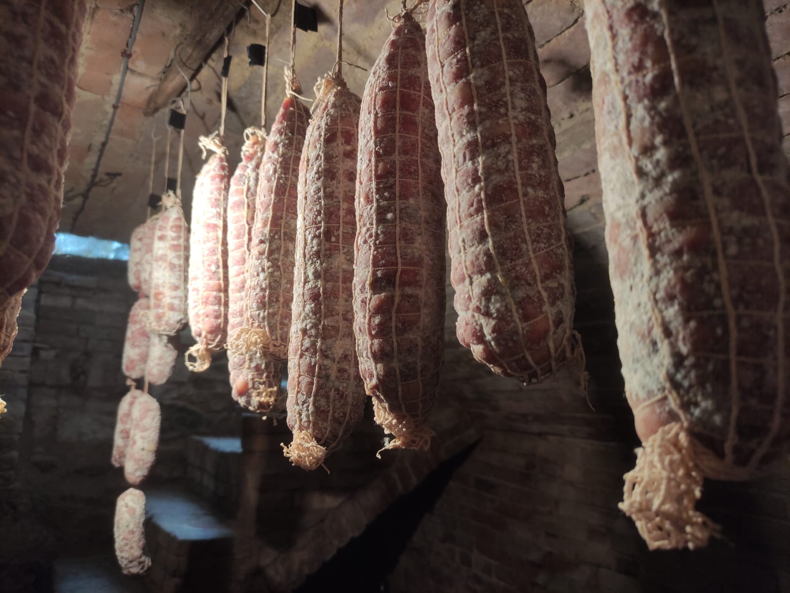 casa-ghia-esplora-la-cantina (5)