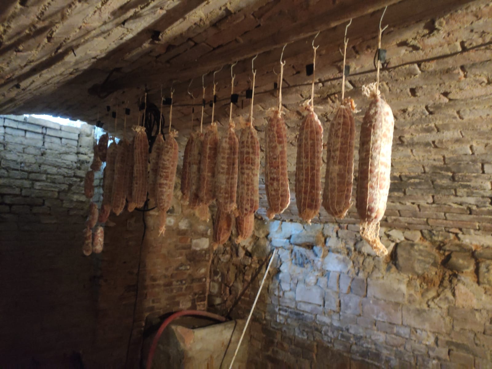 casa-ghia-esplora-la-cantina (7)