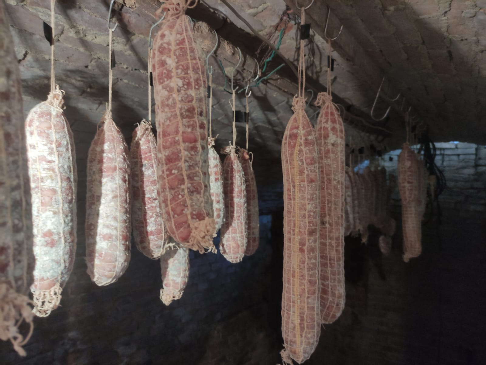 casa-ghia-esplora-la-cantina (9)